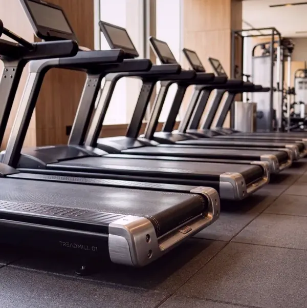 Tulip Beam — Ernährungstipps für Fitnessbegeisterte